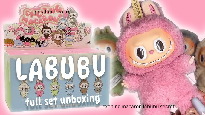 exciting macaron labubu secret