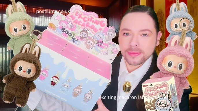 exciting macaron labubu secret