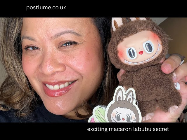 exciting macaron labubu secret