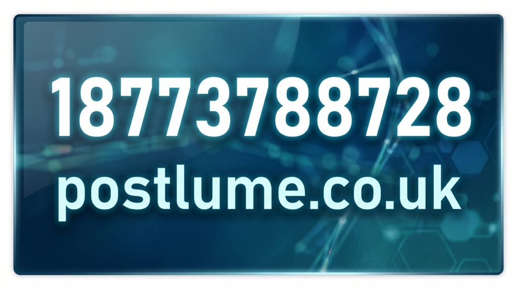 18773788728