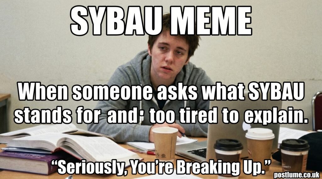 sybau meme