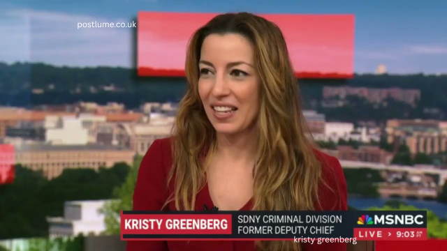 Kristy Greenberg: Career, Background & Legal Expertise